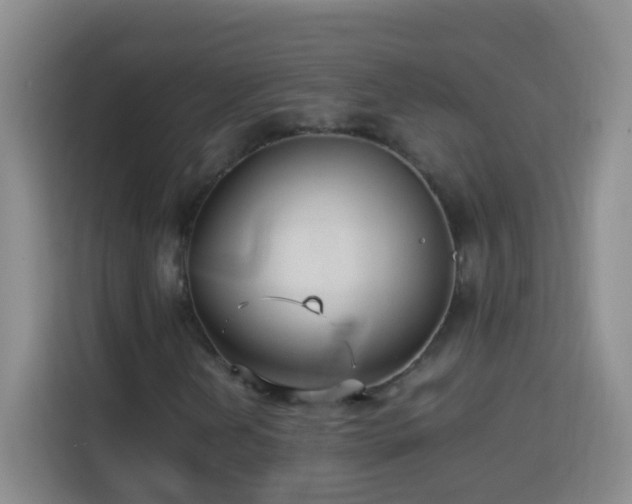 X0000114061202200910051209