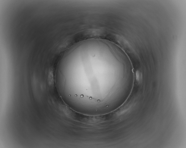 X0000114061203200910051209