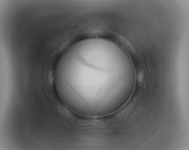 X0000114061204200910051209
