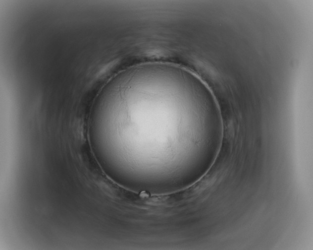 X0000114061205200910051209