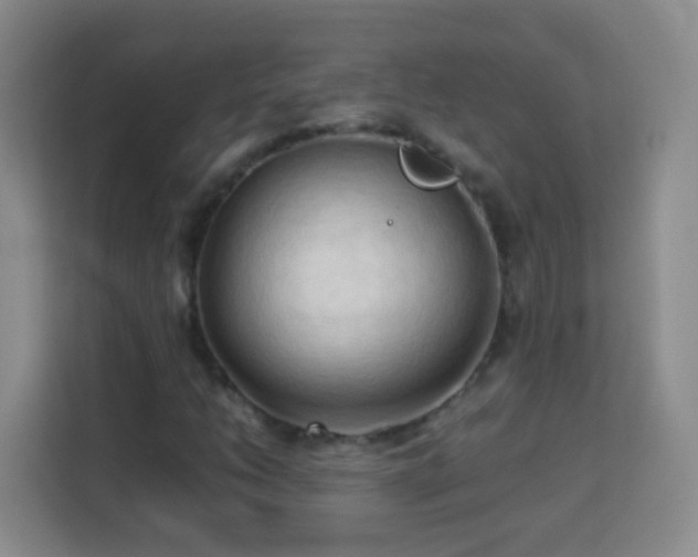 X0000114061206200910051209