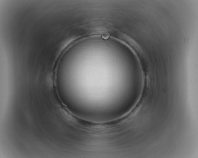 X0000114061212200910051209