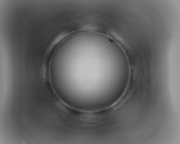 X0000114061215200910051210