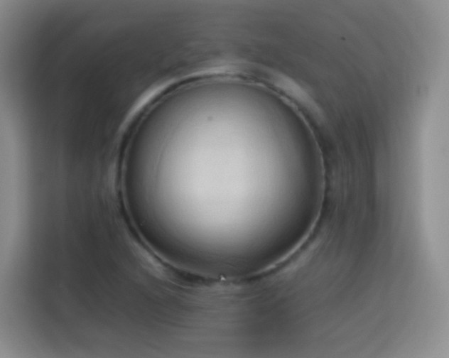X0000114061216200910051210