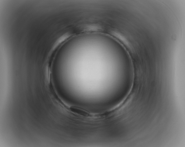 X0000114061219200910051210
