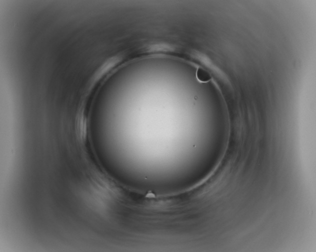 X0000114061221200910051210