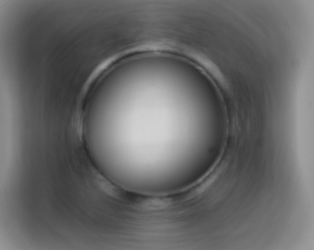 X0000114061224200910051210