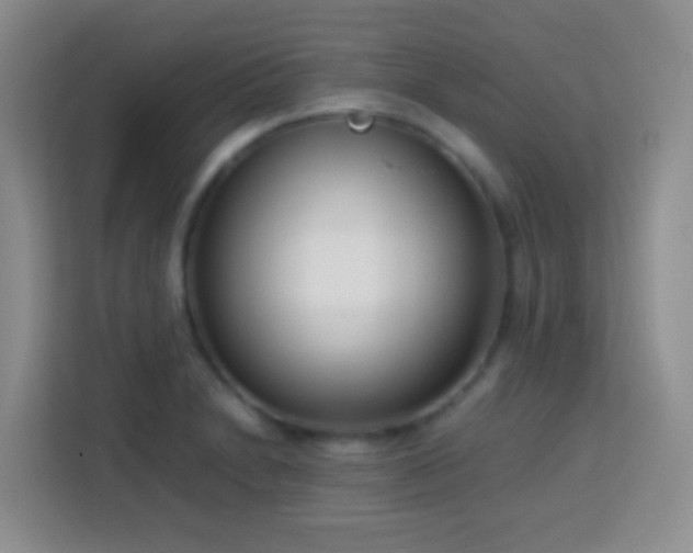 X0000114061230200910051210