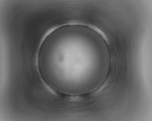 X0000114061231200910051210