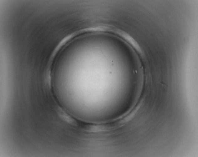 X0000114061232200910051210