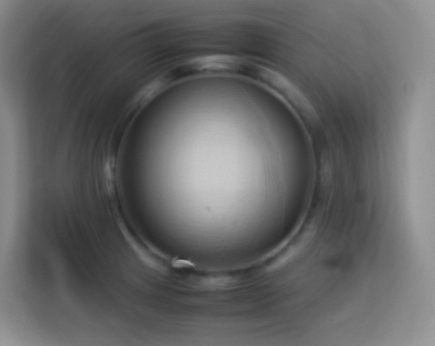 X0000114061233200910051210
