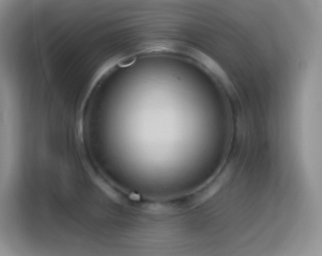 X0000114061234200910051210