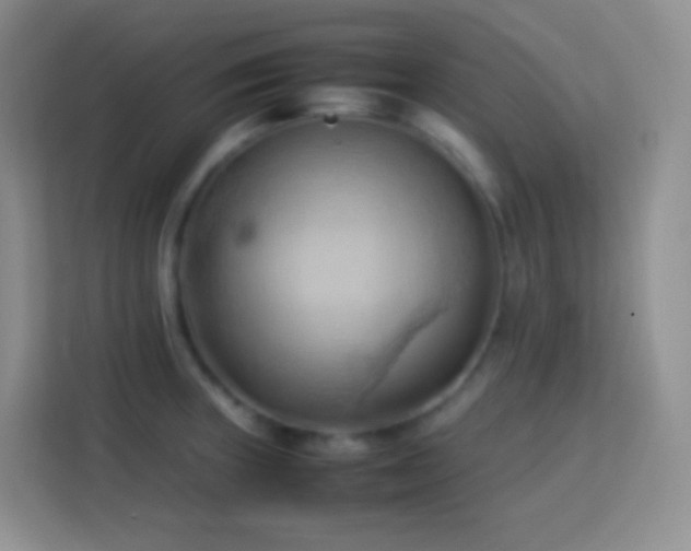 X0000114061235200910051210