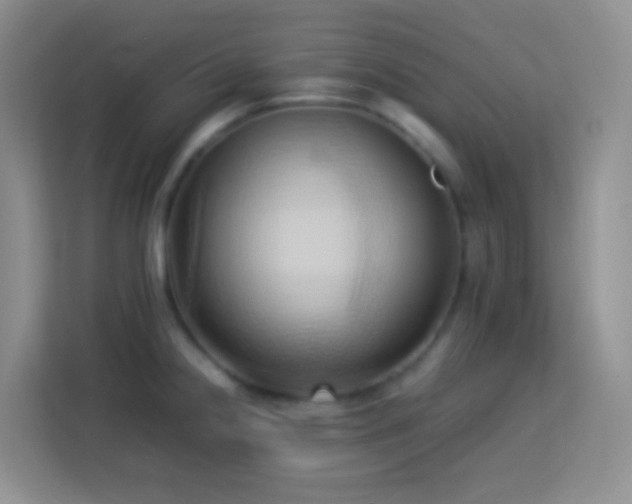 X0000114061238200910051210