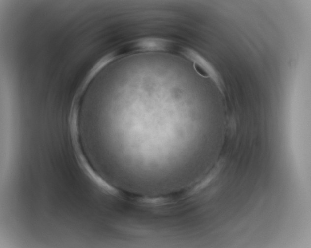 X0000114061243200910051210