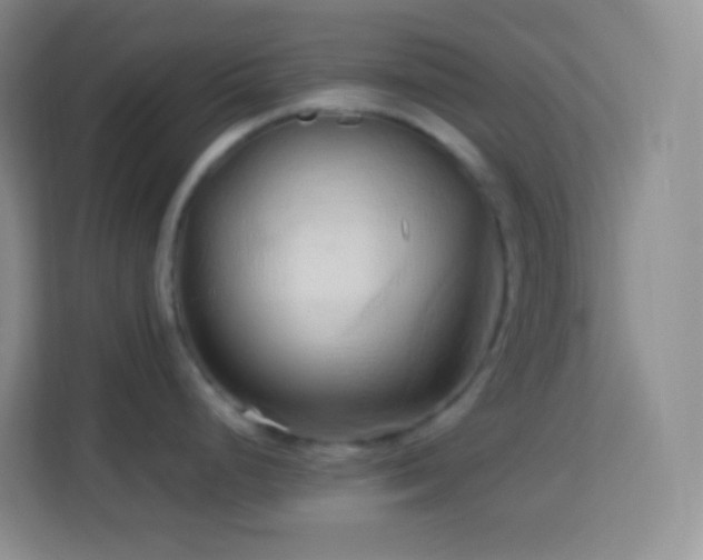 X0000114061248200910051210