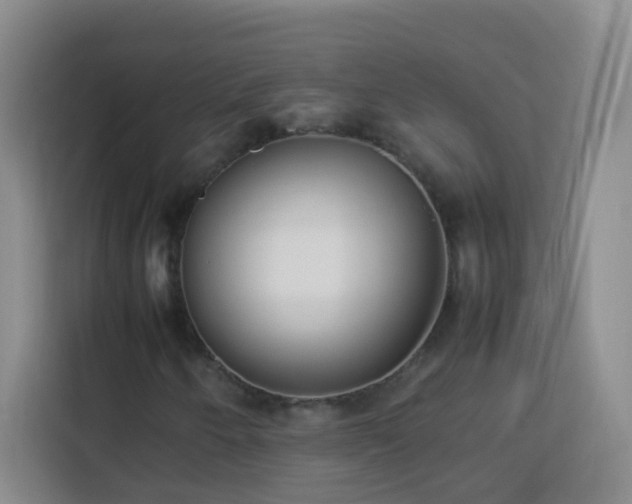 X0000114061250200910051209