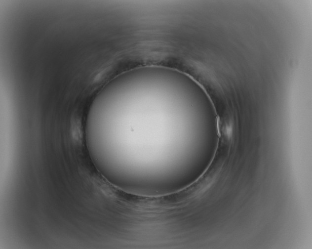 X0000114061252200910051209
