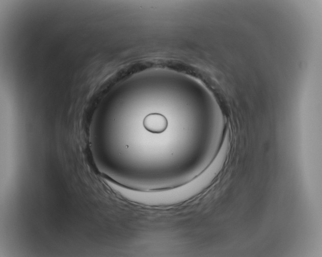 X0000114061253200910051209