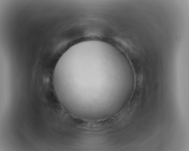 X0000114061254200910051209