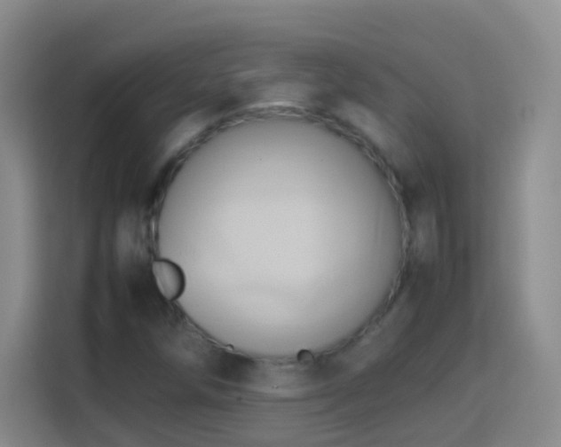 X0000114061258200910051209