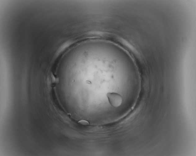 X0000114061259200910051209