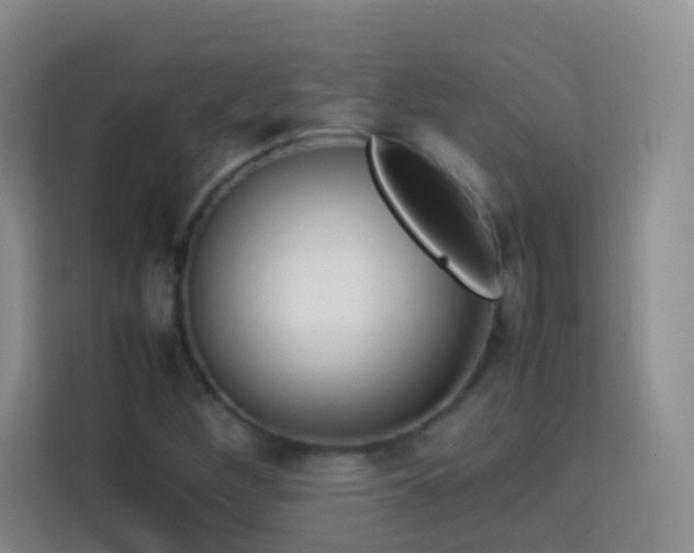 X0000114061260200910051209