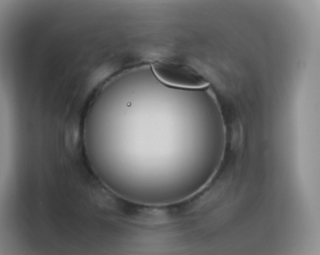 X0000114061261200910051209