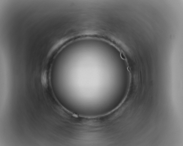 X0000114061262200910051209