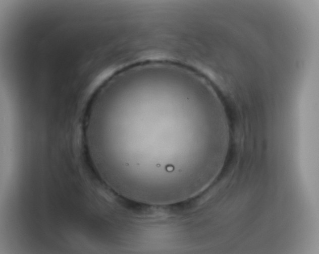 X0000114061263200910051209