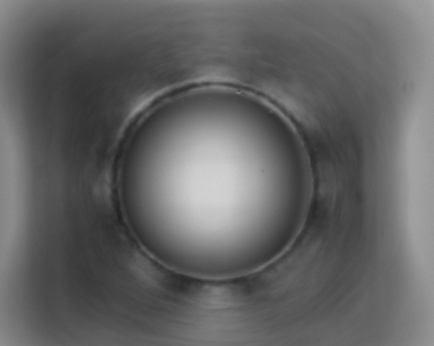 X0000114061264200910051209