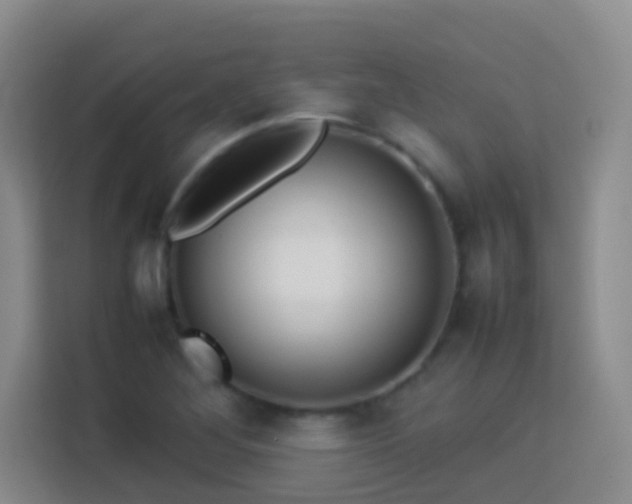 X0000114061268200910051209