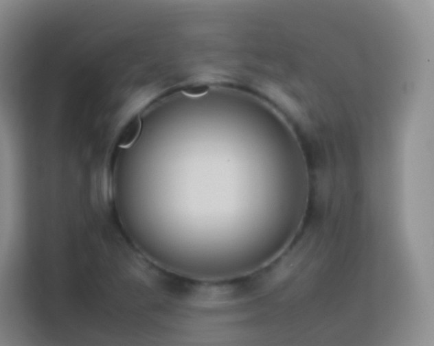 X0000114061269200910051209