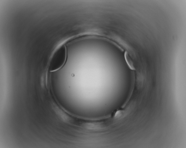 X0000114061272200910051209