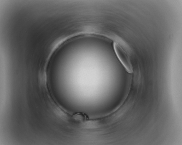 X0000114061280200910051209