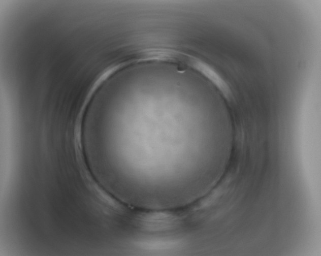 X0000114061283200910051209