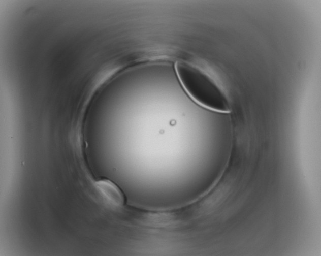 X0000114061285200910051209