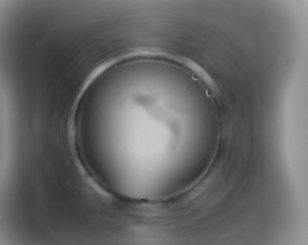 X0000114061287200910051209