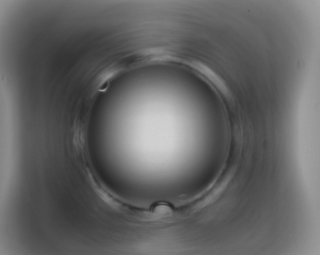 X0000114061289200910051209