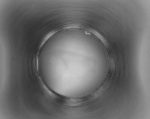 X0000114061290200910051209