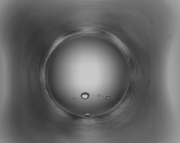 X0000114061291200910051209