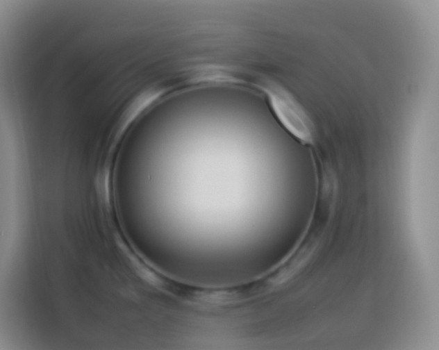 X0000114061293200910051209