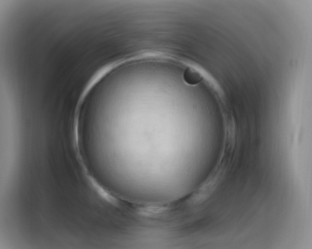 X0000114061294200910051209