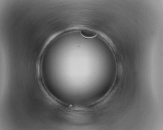 X0000114061295200910051209