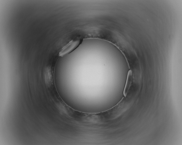 X0000114061298200910051208