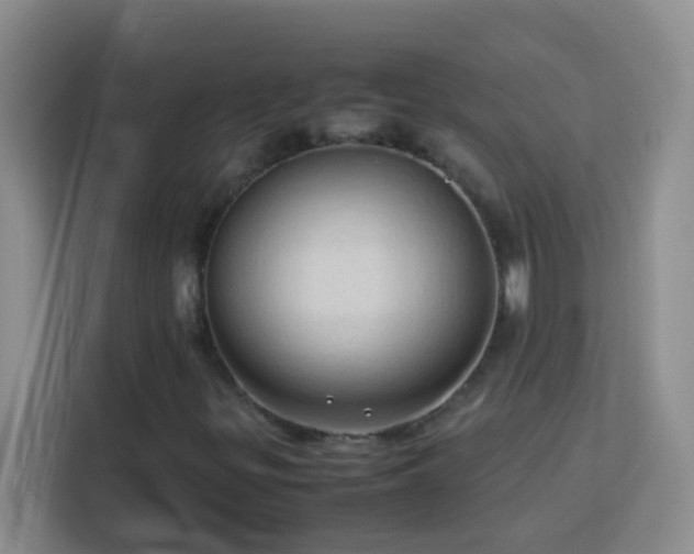 X0000114061299200910051208