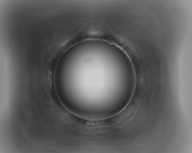 X0000114061301200910051208