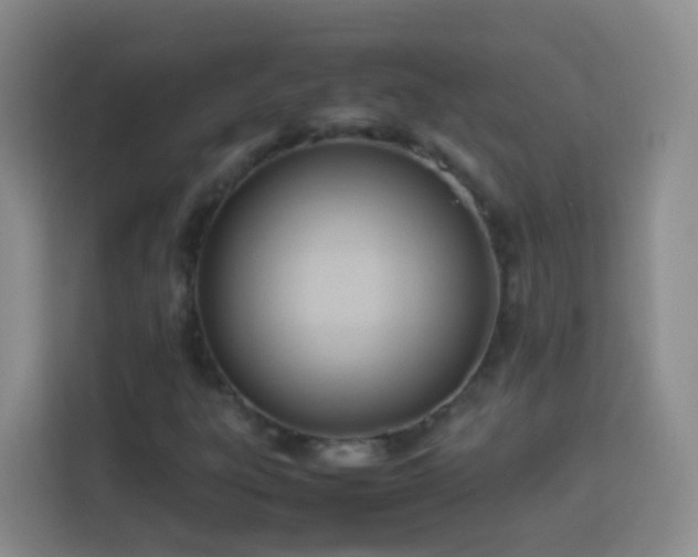 X0000114061303200910051208