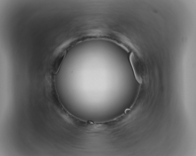 X0000114061304200910051208