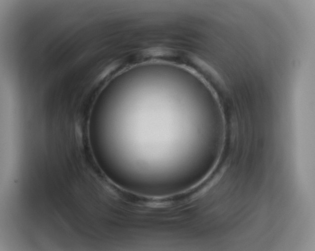 X0000114061305200910051208